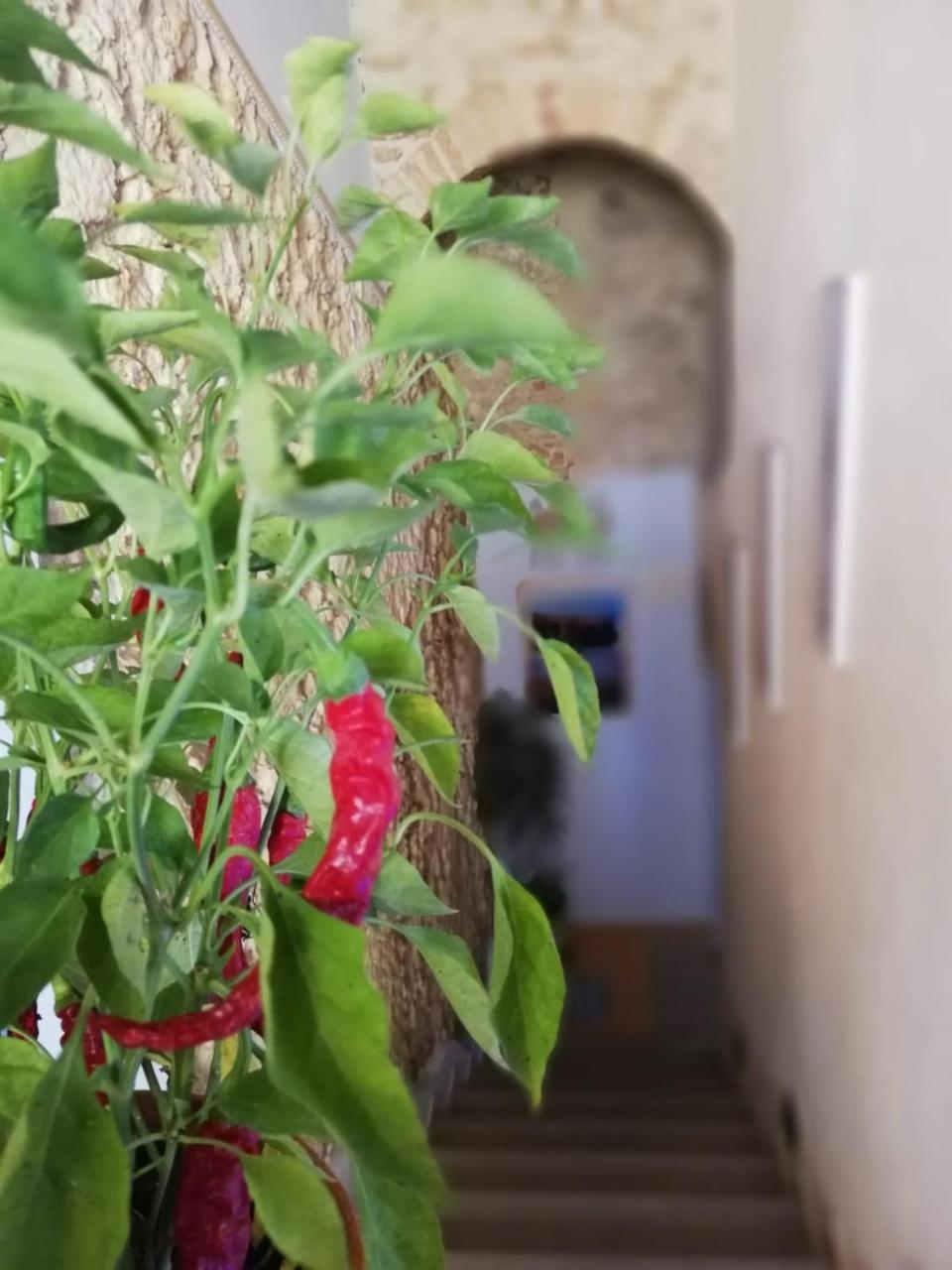A Casa Di Alessandro Tropea Exteriör bild